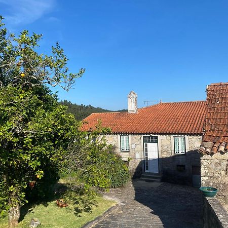 Villa Casa Do Carqueijo à Vila Praia de Âncora Extérieur photo